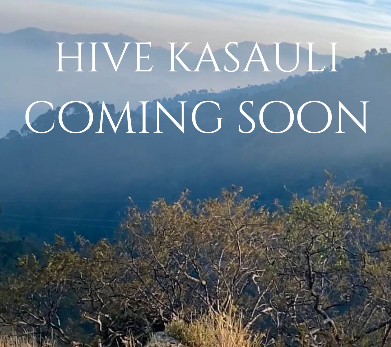 Hive Kasauli